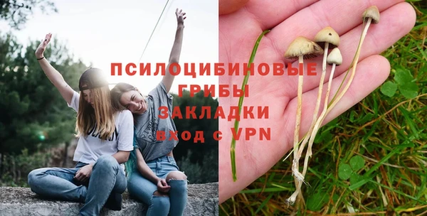 синтетический гашиш Горнозаводск