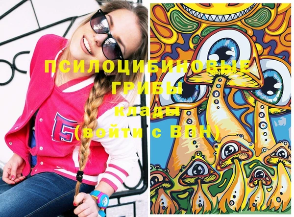 дживик Горно-Алтайск