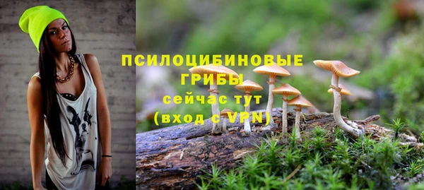 дживик Горно-Алтайск