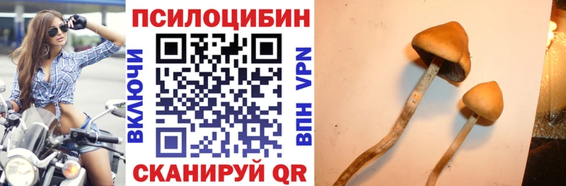 Псилоцибиновые грибы MAGIC MUSHROOMS  Купить где  Карасук 